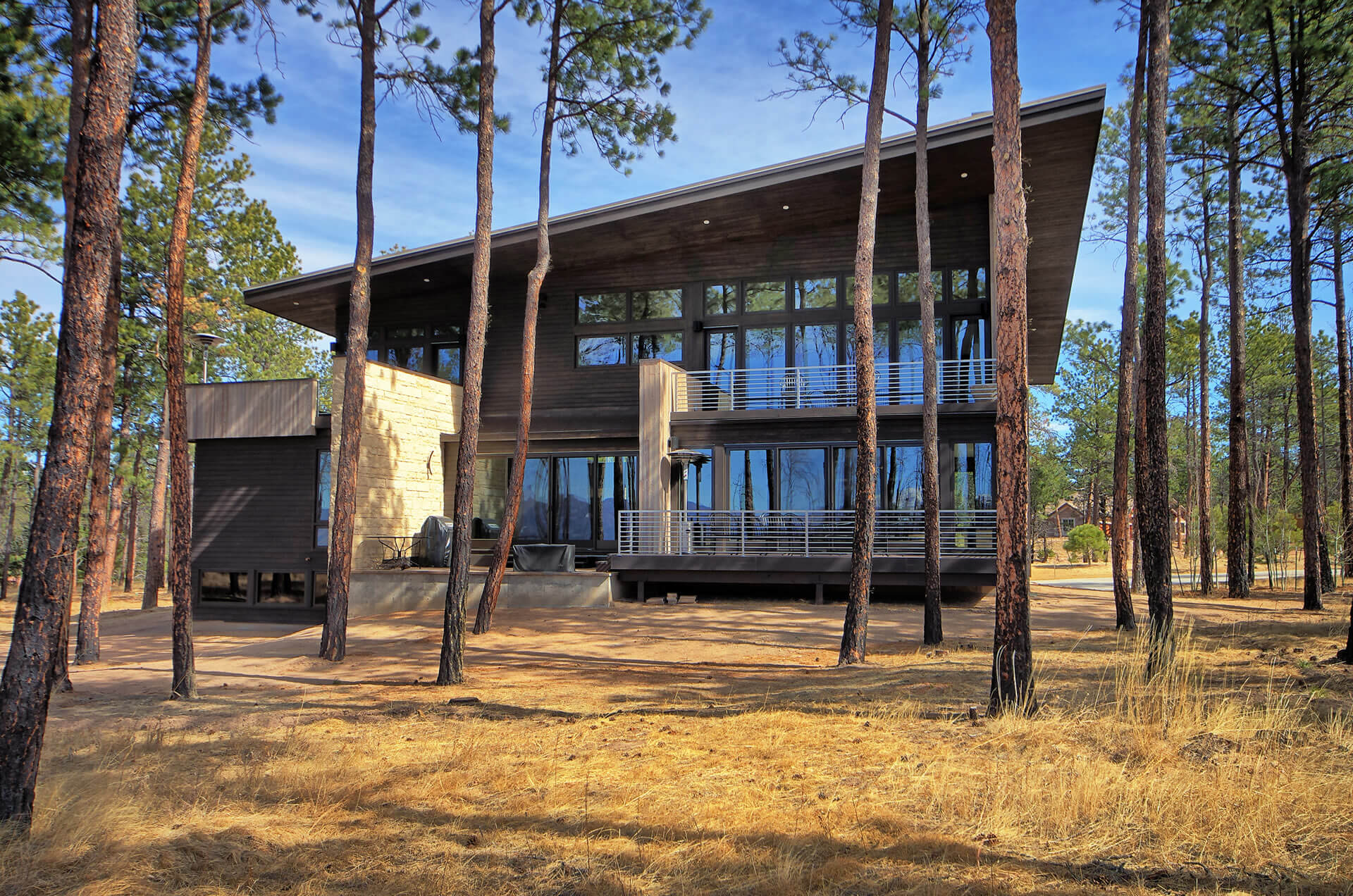 Contemporary Cathedral Pines